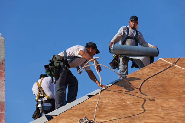 Best Roof Waterproofing Services  in Mayer, AZ