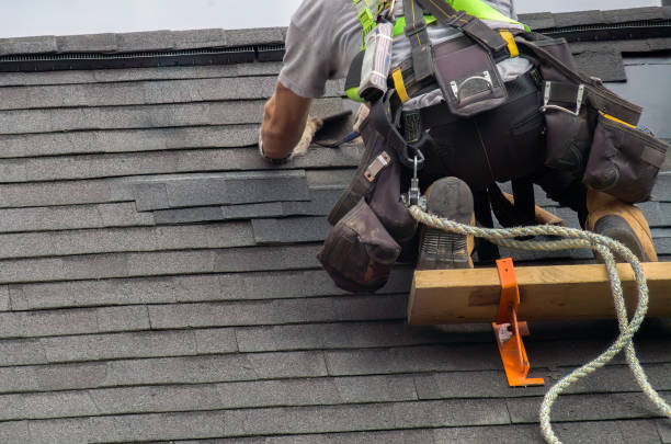 Best Storm Damage Roof Repair  in Mayer, AZ